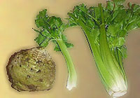 Мантапур и салат из сельдерея и перца с грибами по армянски