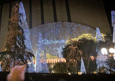 Новогодние елки в странах мира Новогодние елки в странах мира