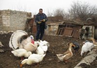 Артур Саркисян: патриот не на словах Артур Саркисян: патриот не на словах