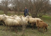 Артур Саркисян: патриот не на словах Артур Саркисян: патриот не на словах