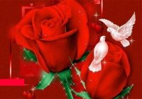 Секрет ДВАДЦАТЬ ВОСЬМОЙ – Человеколюбие... Секрет ДВАДЦАТЬ ВОСЬМОЙ – Человеколюбие...