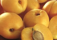 Советы бывалого кулинара Советы бывалого кулинара