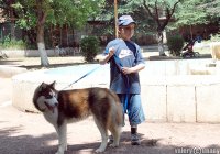 Нанумян Карен Эдуардович, эксперт по восточным единоборствам и дипломированный ветеринарный врач широкого профиля, кинолог-эксперт Нанумян Карен Эдуардович, эксперт по восточным единоборствам и дипломированный ветеринарный врач широкого профиля, кинолог-эксперт