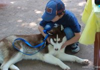 Нанумян Карен Эдуардович, эксперт по восточным единоборствам и дипломированный ветеринарный врач широкого профиля, кинолог-эксперт Нанумян Карен Эдуардович, эксперт по восточным единоборствам и дипломированный ветеринарный врач широкого профиля, кинолог-эксперт