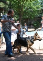 Нанумян Карен Эдуардович, эксперт по восточным единоборствам и дипломированный ветеринарный врач широкого профиля, кинолог-эксперт Нанумян Карен Эдуардович, эксперт по восточным единоборствам и дипломированный ветеринарный врач широкого профиля, кинолог-эксперт