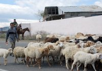 Секрет ТРИДЦАТЬ ПЕРВЫЙ Секрет ТРИДЦАТЬ ПЕРВЫЙ