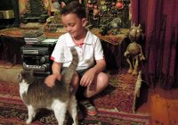Нанумян Карен Эдуардович, эксперт по восточным единоборствам и дипломированный ветеринарный врач широкого профиля, кинолог-эксперт Нанумян Карен Эдуардович, эксперт по восточным единоборствам и дипломированный ветеринарный врач широкого профиля, кинолог-эксперт