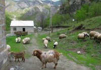 Секрет ТРИДЦАТЬ ТРЕТИЙ Секрет ТРИДЦАТЬ ТРЕТИЙ