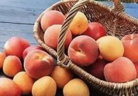 Готовимся к зиме Готовимся к зиме