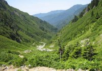 Хемшилы - армяне из Амшена Хемшилы - армяне из Амшена
