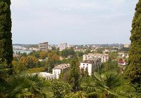 Армяне в абхазско-грузинской войне Армяне в абхазско-грузинской войне