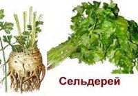 Пряные листовые овощи в Армянской кухне